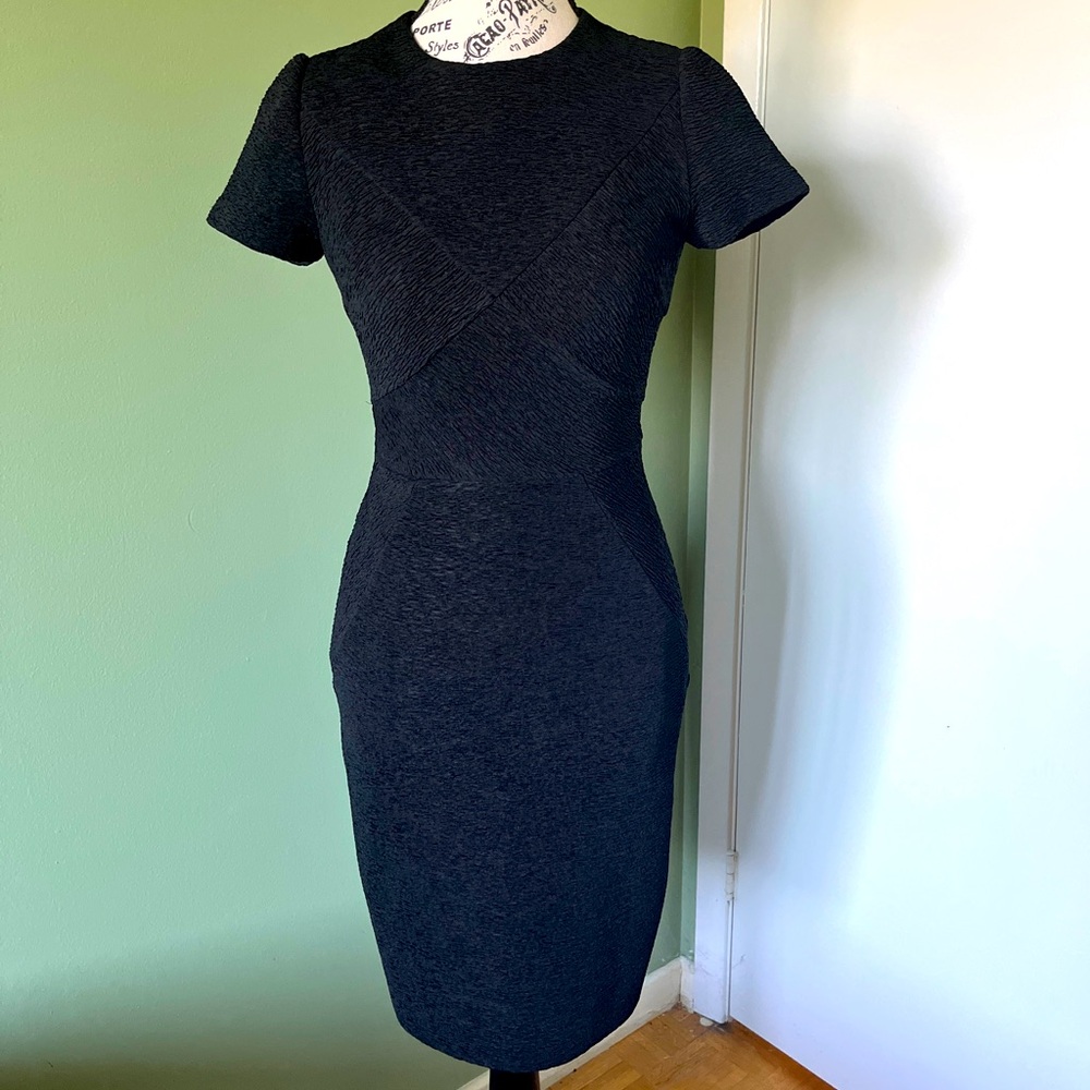 Ted Baker dress with stylish seaming and zipped back